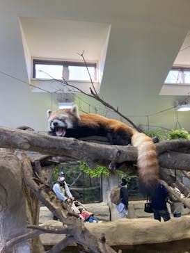 那須どうぶつ王国に投稿された画像（2022/10/21）