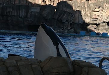 名古屋港水族館に投稿された画像（2022/10/21）