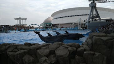 名古屋港水族館に投稿された画像（2022/10/21）