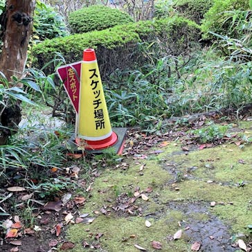 鳩山会館に投稿された画像（2022/10/22）