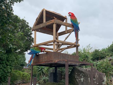 伊豆シャボテン動物公園に投稿された画像（2022/10/22）
