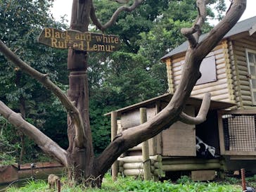 伊豆シャボテン動物公園に投稿された画像（2022/10/22）