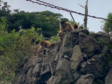 伊豆シャボテン動物公園に投稿された画像（2022/10/22）