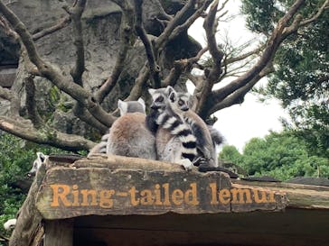 伊豆シャボテン動物公園に投稿された画像（2022/10/22）
