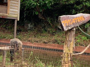 伊豆シャボテン動物公園に投稿された画像（2022/10/22）