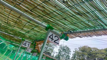 千葉こどもの国 キッズダムに投稿された画像（2022/10/22）