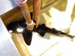 新江ノ島水族館に投稿された画像（2022/10/16）