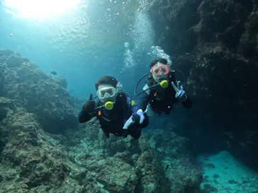 武藤潜水に投稿された画像（2022/10/22）