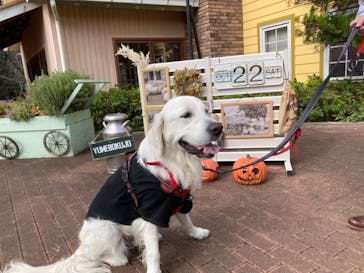 成田ゆめ牧場に投稿された画像（2022/10/22）