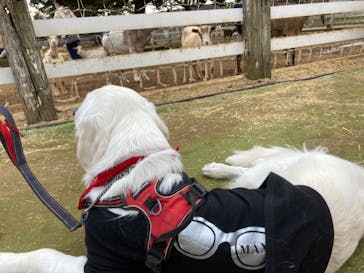 成田ゆめ牧場に投稿された画像（2022/10/22）