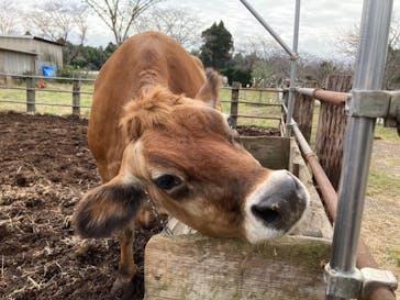 成田ゆめ牧場に投稿された画像（2022/10/22）