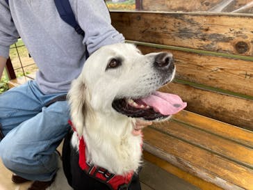 成田ゆめ牧場に投稿された画像（2022/10/22）