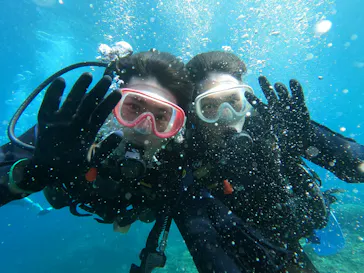 武藤潜水に投稿された画像（2022/10/22）