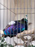 天王寺動物園に投稿された画像（2022/10/22）