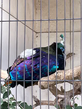 天王寺動物園に投稿された画像（2022/10/22）