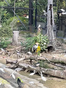 天王寺動物園に投稿された画像（2022/10/22）