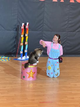 那須ワールドモンキーパークに投稿された画像（2022/10/22）