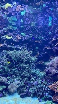 大分マリーンパレス水族館 「うみたまご」に投稿された画像（2022/10/22）