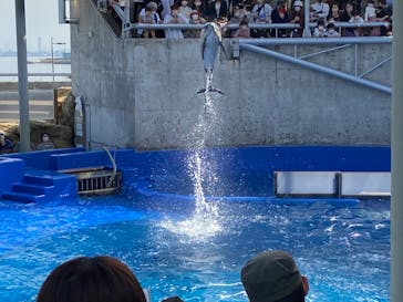 大分マリーンパレス水族館 「うみたまご」に投稿された画像（2022/10/22）