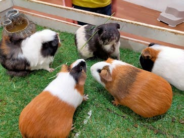 アニタッチみなとみらいに投稿された画像（2022/10/22）