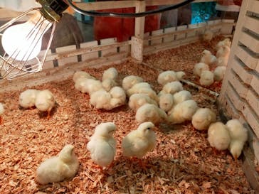 アニタッチみなとみらいに投稿された画像（2022/10/22）