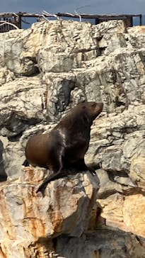 大分マリーンパレス水族館 「うみたまご」に投稿された画像（2022/10/22）