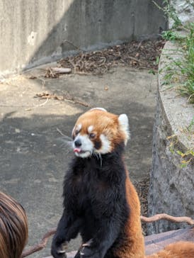 九十九島動植物園森きららに投稿された画像（2022/10/22）