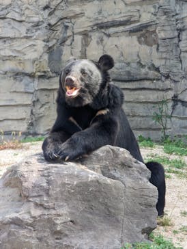 九十九島動植物園森きららに投稿された画像（2022/10/22）