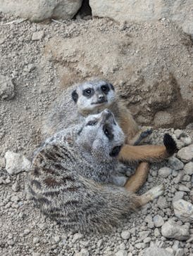 九十九島動植物園森きららに投稿された画像（2022/10/22）