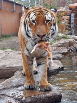 那須どうぶつ王国に投稿された画像（2022/10/22）