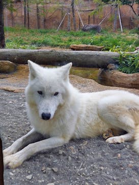 那須どうぶつ王国に投稿された画像（2022/10/22）