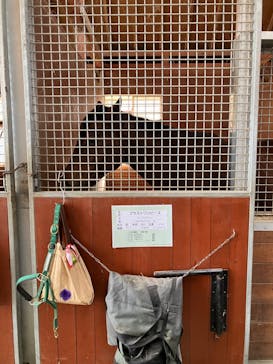 ノーザンホースパークに投稿された画像（2022/10/22）