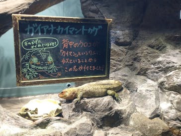 サンシャイン水族館に投稿された画像（2022/10/22）