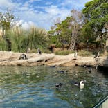 神戸どうぶつ王国に投稿された画像（2022/10/22）