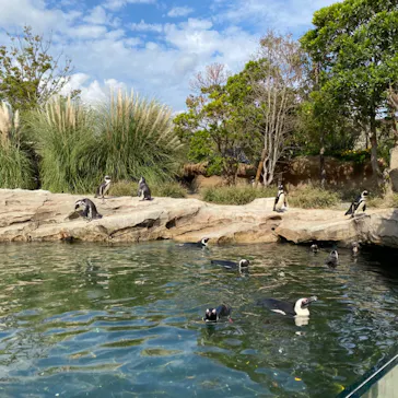 神戸どうぶつ王国に投稿された画像（2022/10/22）