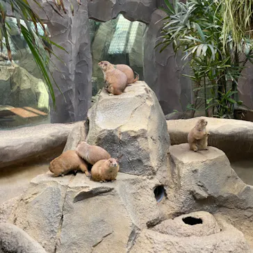 神戸どうぶつ王国に投稿された画像（2022/10/22）