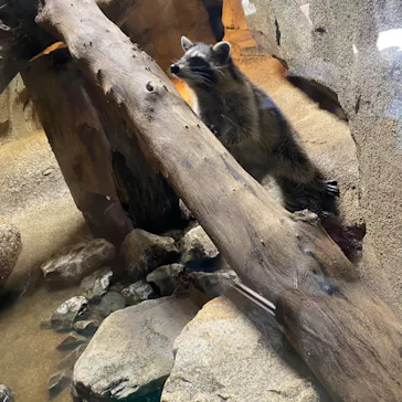 神戸どうぶつ王国に投稿された画像（2022/10/22）