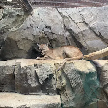 神戸どうぶつ王国に投稿された画像（2022/10/22）