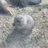 神戸どうぶつ王国に投稿された画像（2022/10/22）