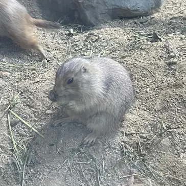 神戸どうぶつ王国に投稿された画像（2022/10/22）