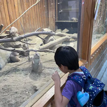 神戸どうぶつ王国に投稿された画像（2022/10/22）