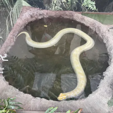 神戸どうぶつ王国に投稿された画像（2022/10/22）