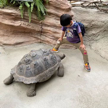 神戸どうぶつ王国に投稿された画像（2022/10/22）