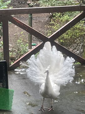 伊豆シャボテン動物公園に投稿された画像（2022/10/22）