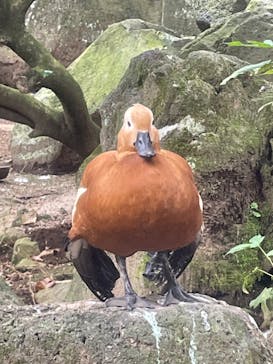 伊豆シャボテン動物公園に投稿された画像（2022/10/22）