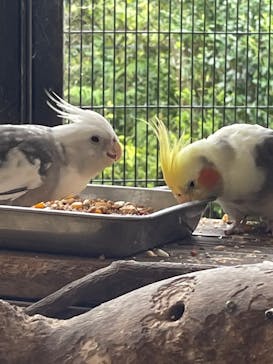 伊豆シャボテン動物公園に投稿された画像（2022/10/22）