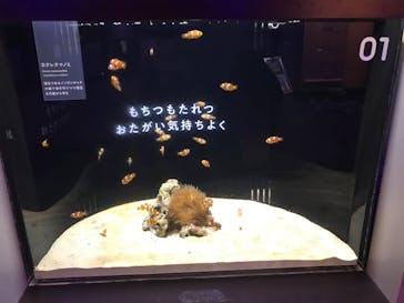 横浜開運水族館 フォーチュンアクアリウムに投稿された画像（2022/10/22）