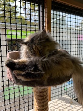 しろとり動物園に投稿された画像（2022/10/22）