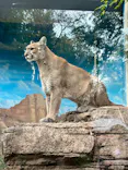 天王寺動物園に投稿された画像（2022/10/22）
