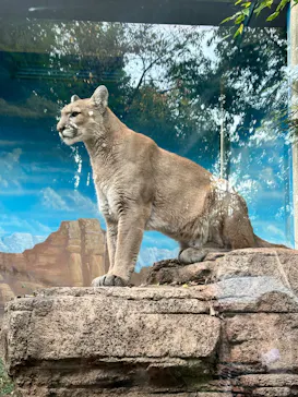 天王寺動物園に投稿された画像（2022/10/22）